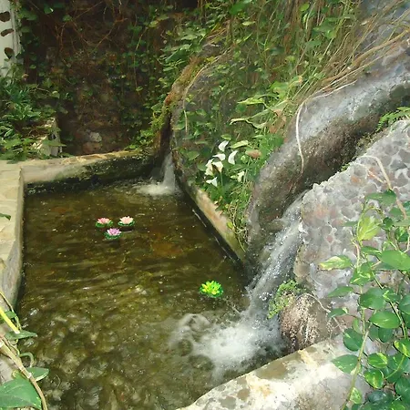 La Fonda * Ingenio