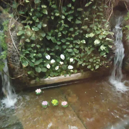 La Fonda * Ingenio